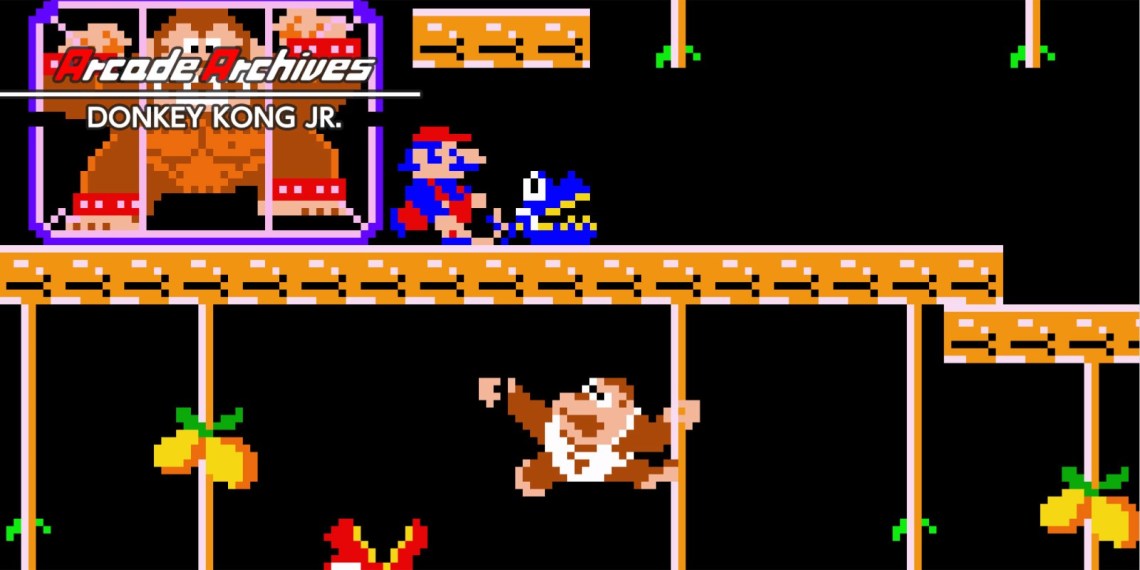 ARCADE ARCHIVES_DONKEY KONG JR.jpg